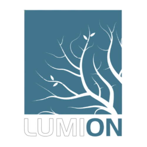 Lumion